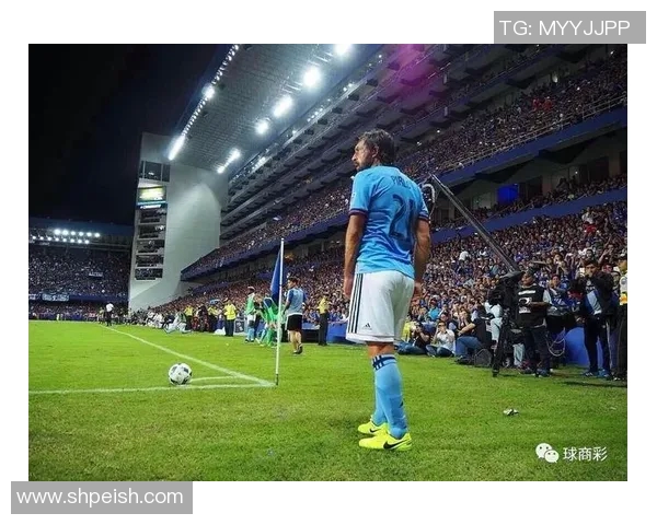 从巅峰到街头足球明星的落魄人生与重生之路