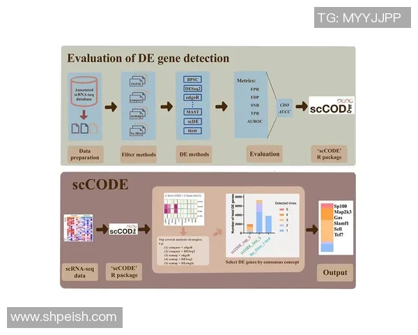 广州篮球队团队协作表现的数据分析与提升策略探讨